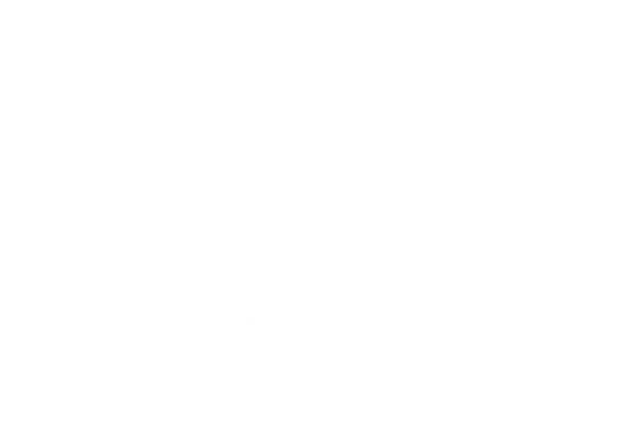 Lupa Fiscal